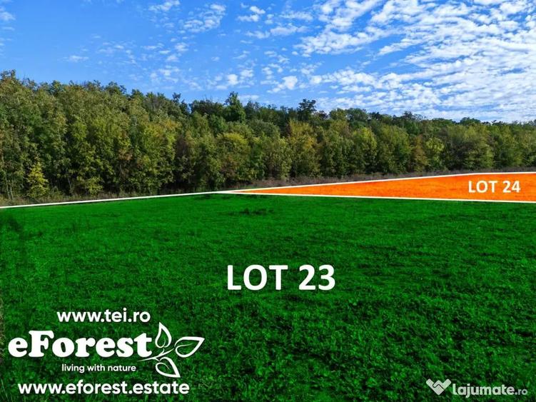 Lot lini?tit langa padure, langa Academia Titi Aur, Crevedia - 5