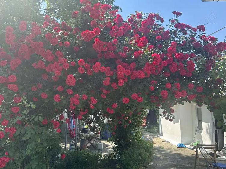 Casa de vanzare - 18