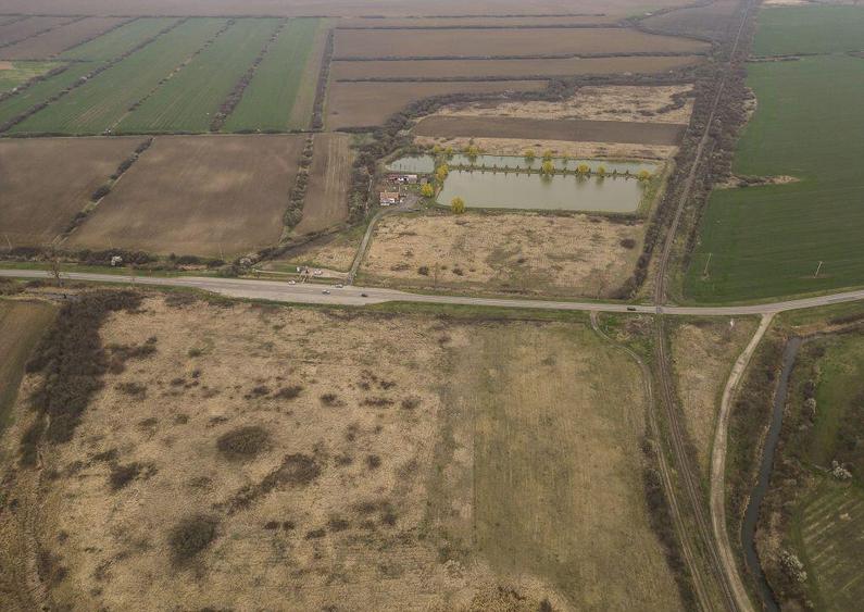 Teren extravilan in Ineu - 20