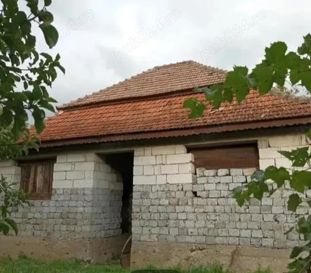 Casa de vanzare la tara - 3