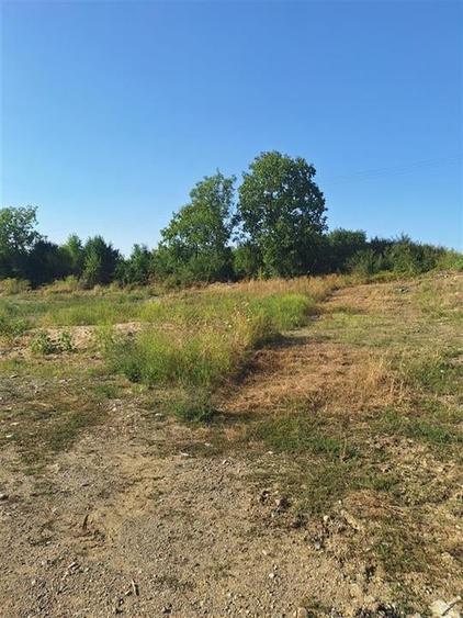 Reco, teren intravilan  Alesd - 4