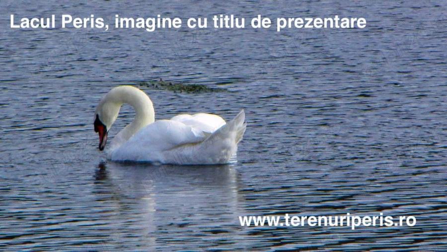 Terenuri IN RATE 500 luna, teren 25 langa Ciolpani, Izvorani - 9