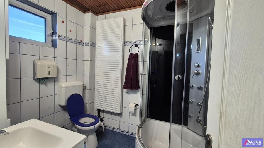 Vanzari Case / Vile Magurele - 10