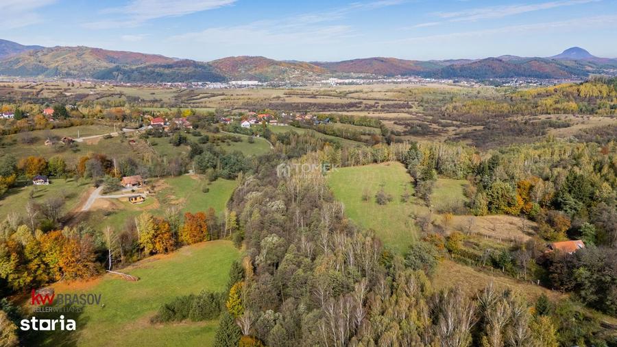 Teren intravilan in Zarne?ti, zona Tohanita, cu padurice ?i parau curg - 8