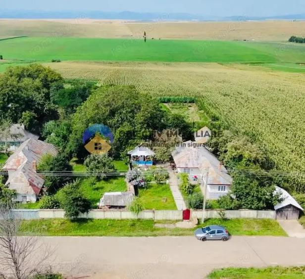 Teren de vanzare 9126 mp- comuna Stefan cel Mare - 2