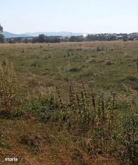 Teren extravilan zona Avantgarden - 1