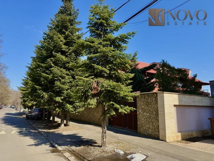 Casa de Inchiriat | Baneasa | 1.600 mp Curte - 11