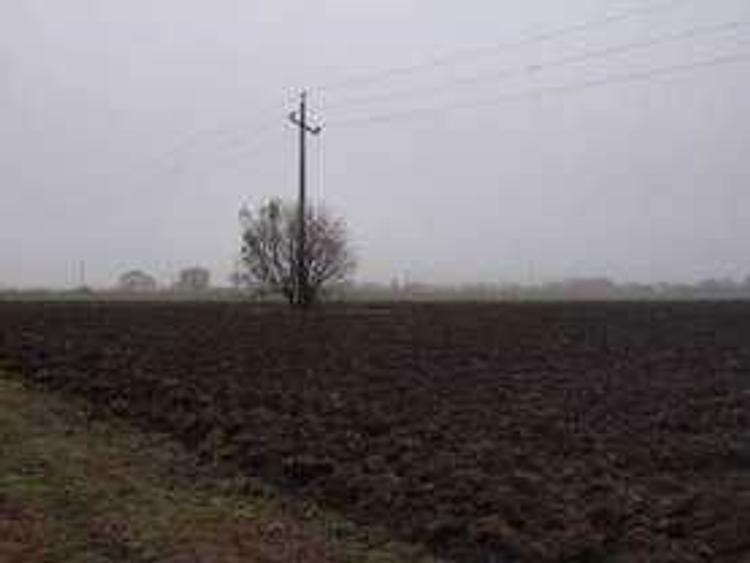 TARTASESTI Teren INTRAVILAN 1,500 MP - lot de casa - 1