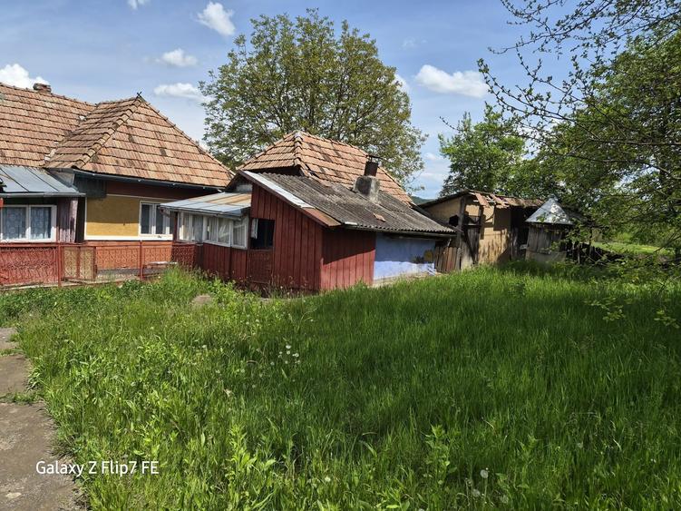Casa de vanzare in com Bala - 6