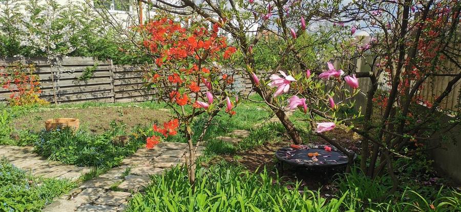 Garsoniera la casa de inchiriat Pet friendly - 8