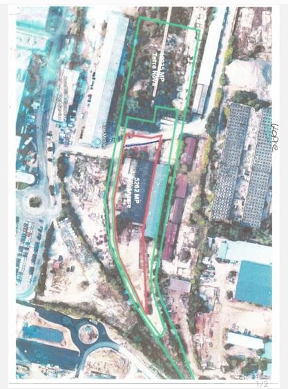 Pallady Ikea Victor Brauner - 4