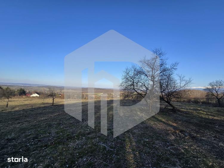 Teren 24.000 mp - Comasat - Utilita?i - Tocile - Priveli?te superba - 3