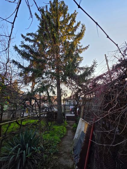 Damaroaia 4 camere casa veche - 1