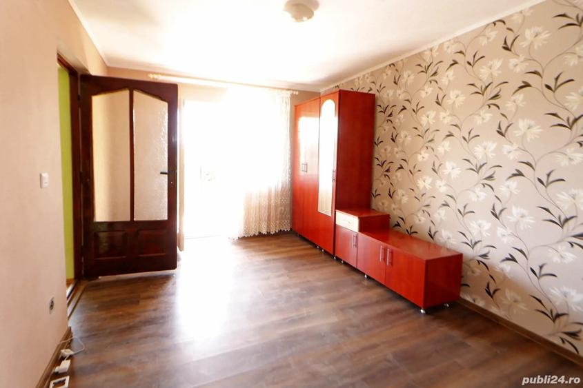 Vand Vila in Jude?ul Maramure? - 4