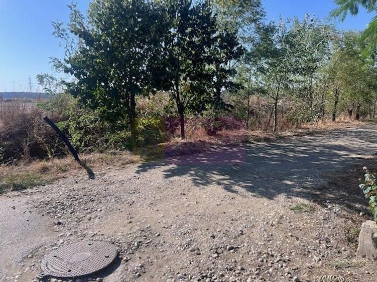 Teren Cornetu Strada Magnoliei- Pinului. - 3