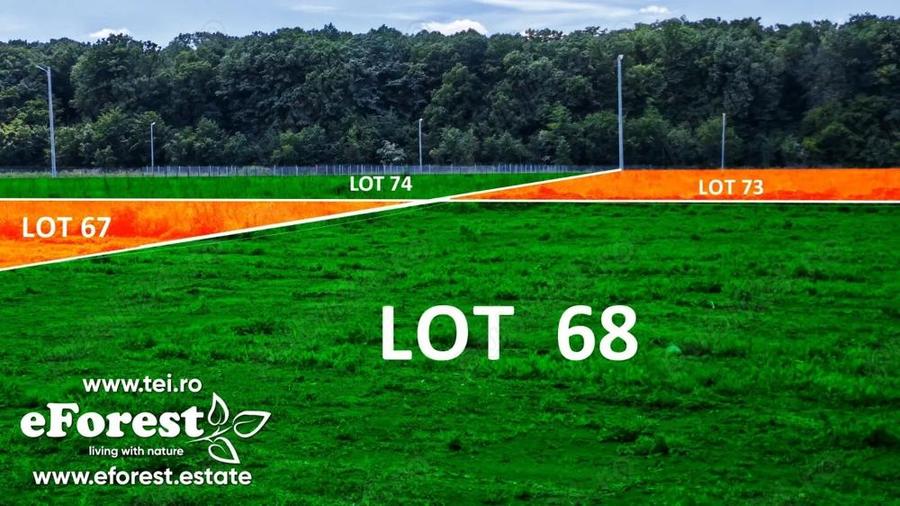 Profita acum de oferta de Pa?te! Teren aproape de natura ?i Bucure?ti, acces din DN1A, eForest - 7