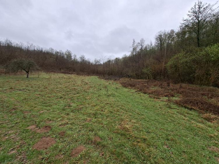 Teren livada 2.900 mp Sintesti comuna Margina-pozitie excelenta, aproape de intravilan, acces rapid la autostrada - 1