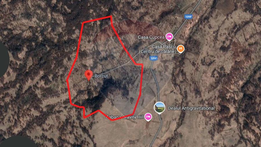 Teren 93.334 mp Ocna Sugatag, la Borcut - 3