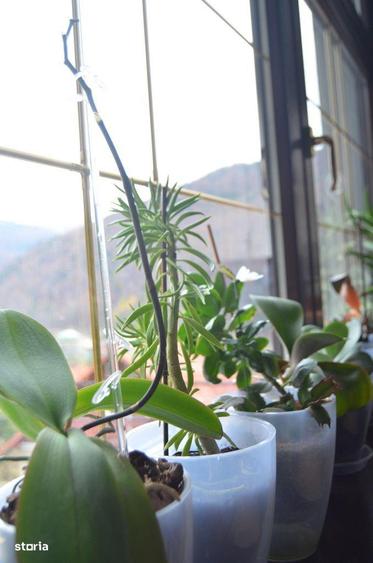 Oportunitate investitie! Ultracentral in orasul turistic Sinaia - 8