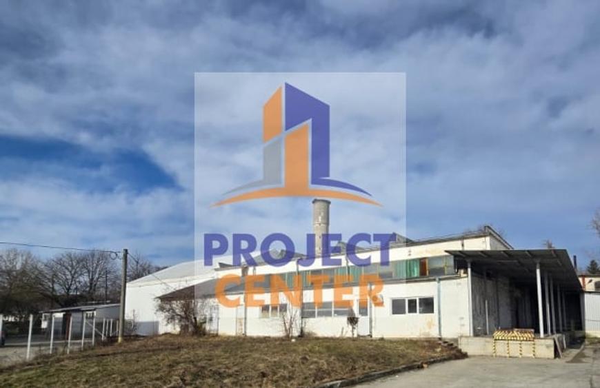 Hala industriala in suprafata de 750 mp + teren in suprafata de 3000 mp - 1