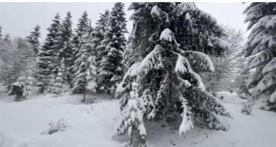 Teren 10,75 ari, intravilan Colibita, cu utilitati - 4