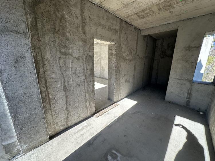 Proiect deosebit zona Medicina / Isho - 38