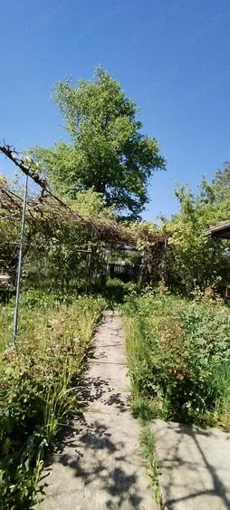 Vand casa cu gradina la Bode?tii de sus,str.Ciresului nr. 12. - 7