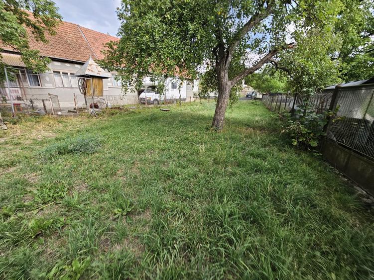 Casa cu teren , localitatea Birtin - 3