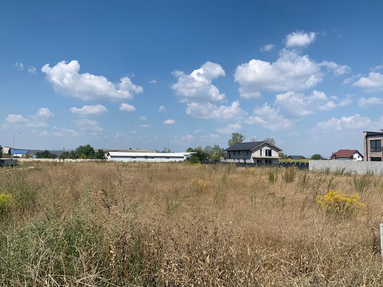 OPORTUNITATE DEZVOLTARE REZIDENTIALA 5895mp HARMAN - 4