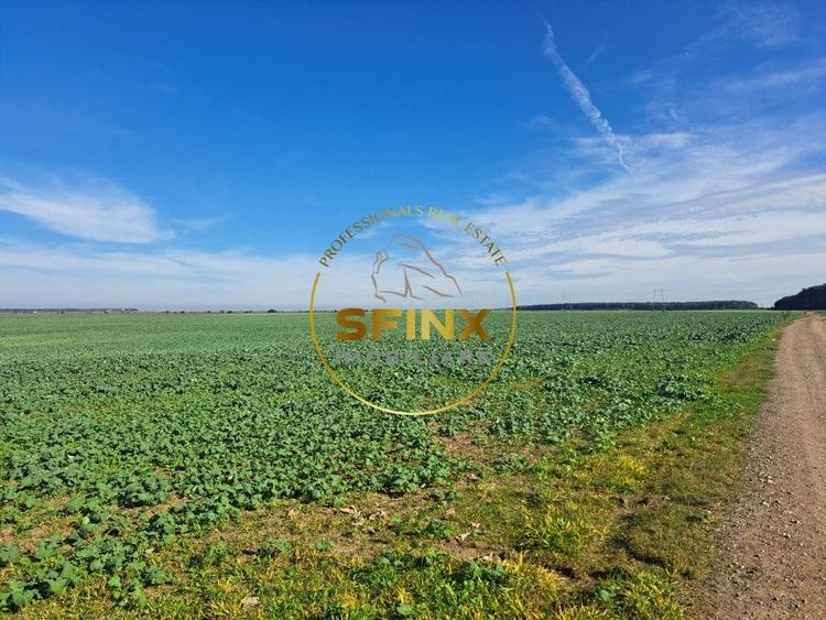 Teren intravilan Branesti 27000 mp km 12 Autostrada A2 - 4