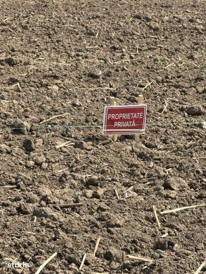 Parcela teren de 494 mp, acces u?or , la 35 km de Bucuresti - 4