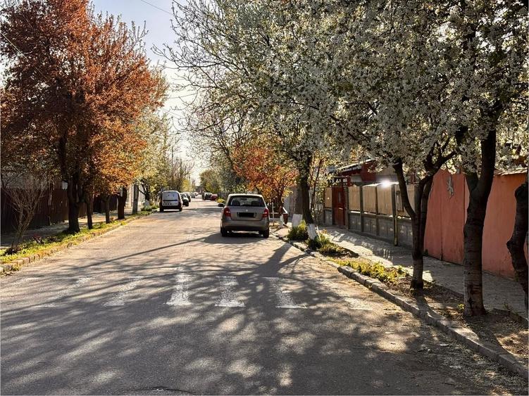 Casă cu 3 camere în Central