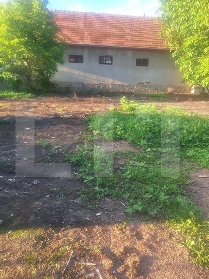Casă individuală cu 4 camere cu Canalizare în Criciova