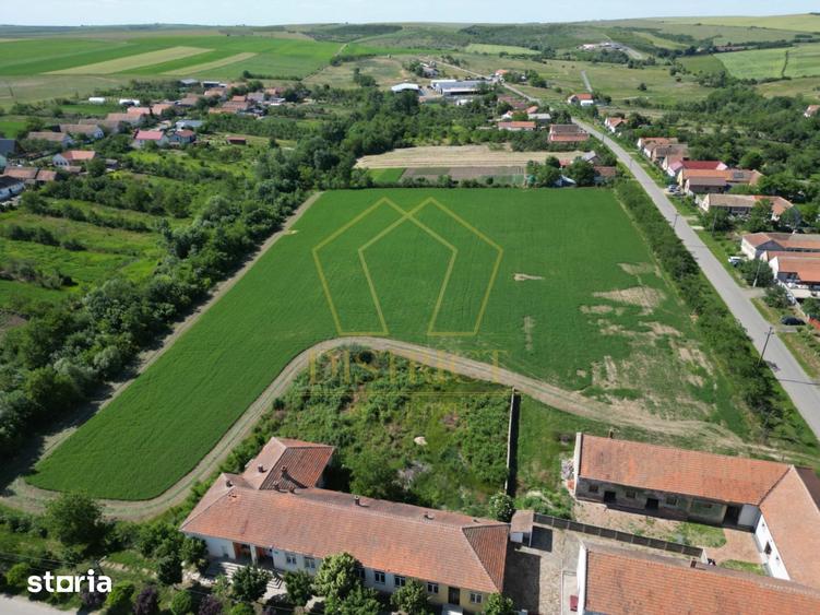 Teren de 16716 mp, în Traian Vuia