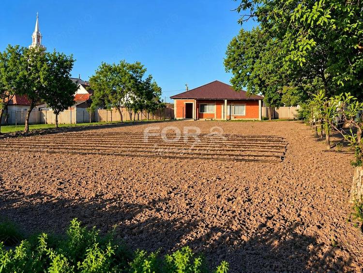 Casă cu 4 camere cu Teren 1290 Mp în Tulca