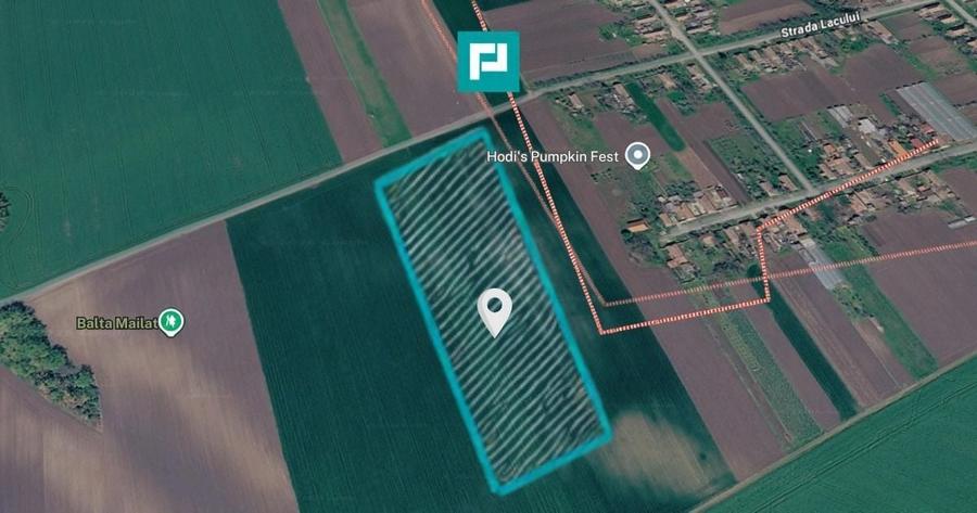 Teren agricol extravilan de 8600 mp, în Mailat
