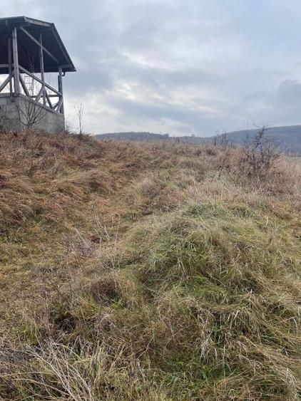 Teren intravilan de 1200 mp, în Tăuți