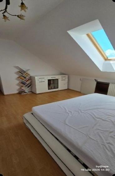 Colentina - Fundeni , Maior Bacila stradal - 4