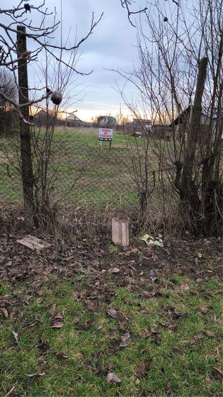 Teren 1533 mp Peciu Nou/Dinias - 2