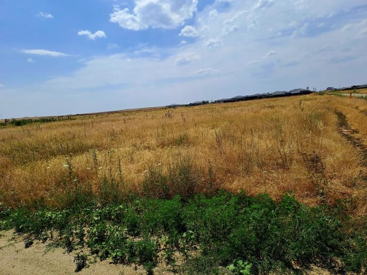 Teren intravilan Carcea , 415 mp , cu front stradal 14,78 m - 1