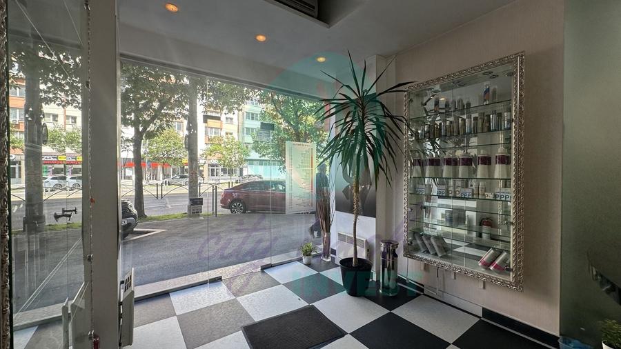 Spatiu Comercial CALEA MOSILOR - 2