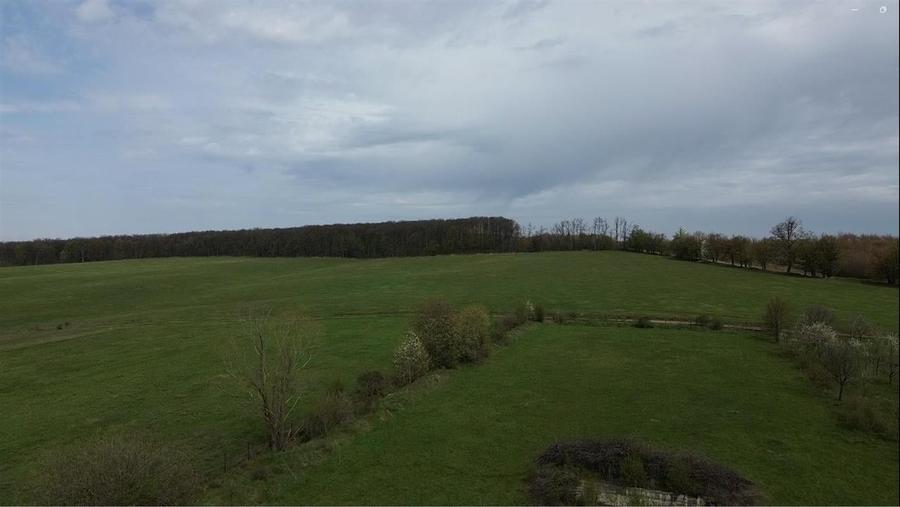 Teren intravilan 5800 mp Mitocasi - Suceava! - 1