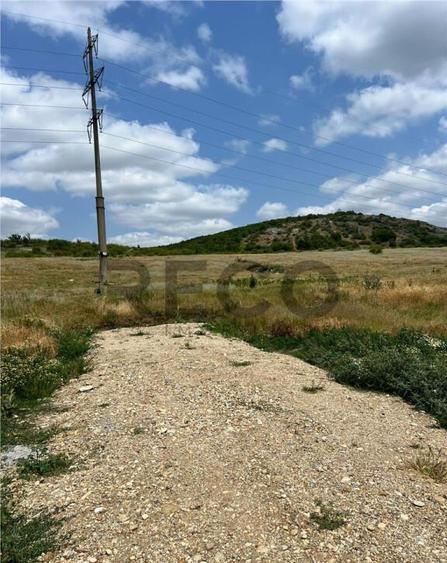 RECO teren de in zona Betfia - 1