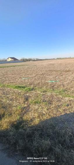 De vanzare loturi de teren intravilan in Singureni, Giurgiu - 8