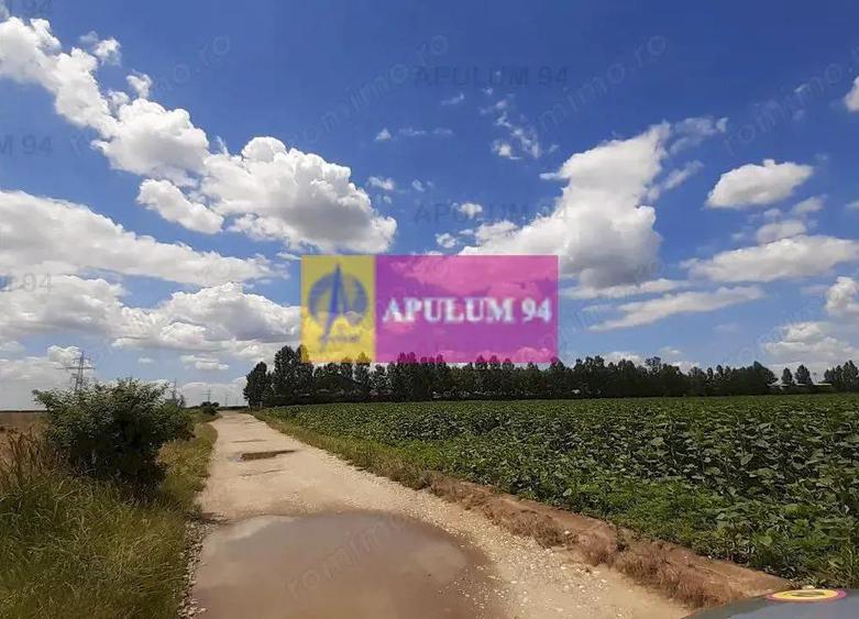 Teren 715mp in Snagov langa Equestria - 9