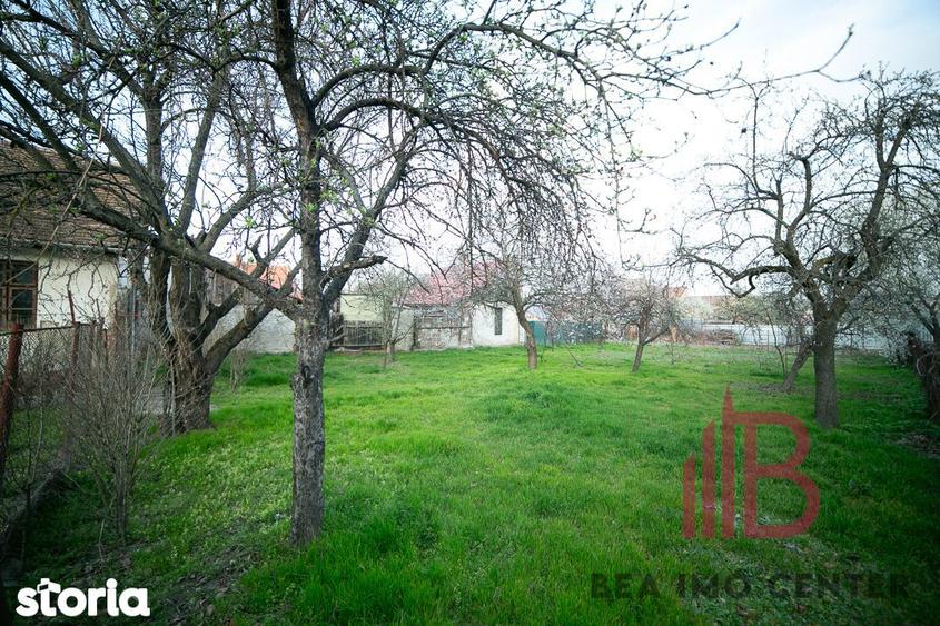 Casa solida pe un singur nivel ?i 1018 mp teren - 3