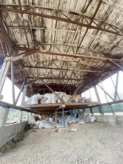 HALE-DEPOZIT DE VANZRE SI TEREN 10000 mp  AGAS jud.Bacau - 7