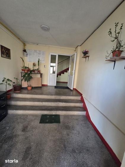 Apartament de inchiriat in Mangalia, pe str Rozelor, partea cu marea - 15