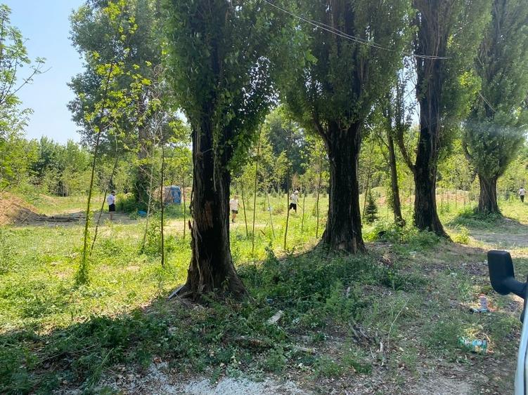 Teren construcții 3 loturi Intrarea Serelor/ Iuliu Hațeganu - 2