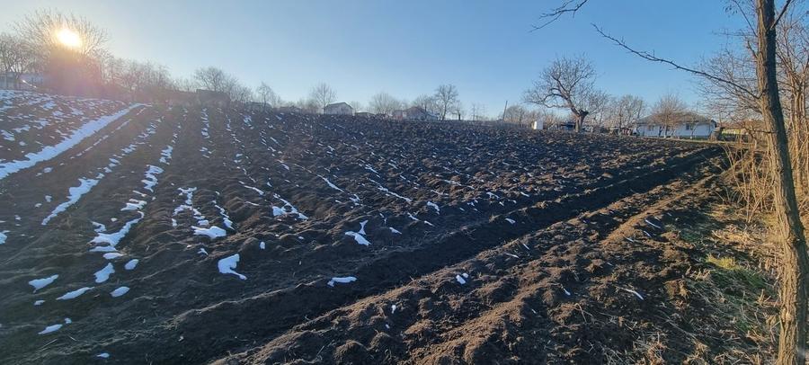 Loc de casa in Manastirea Doamnei - 2